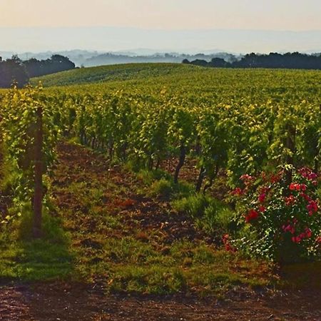 Agriturismo Fattoria Il Piano - Appartamento Focolare - San Gimignano Exteriör bild