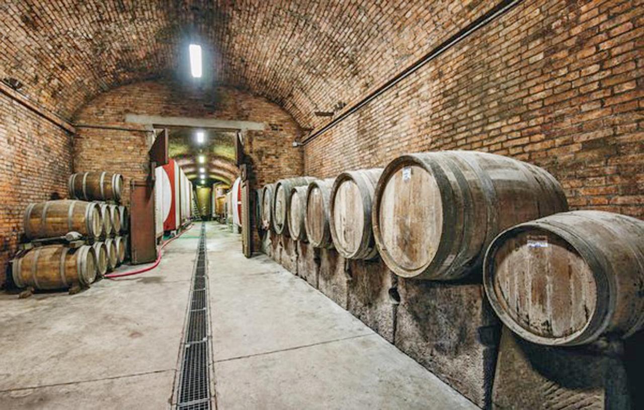 Agriturismo Fattoria Il Piano - Appartamento Focolare - San Gimignano Exteriör bild
